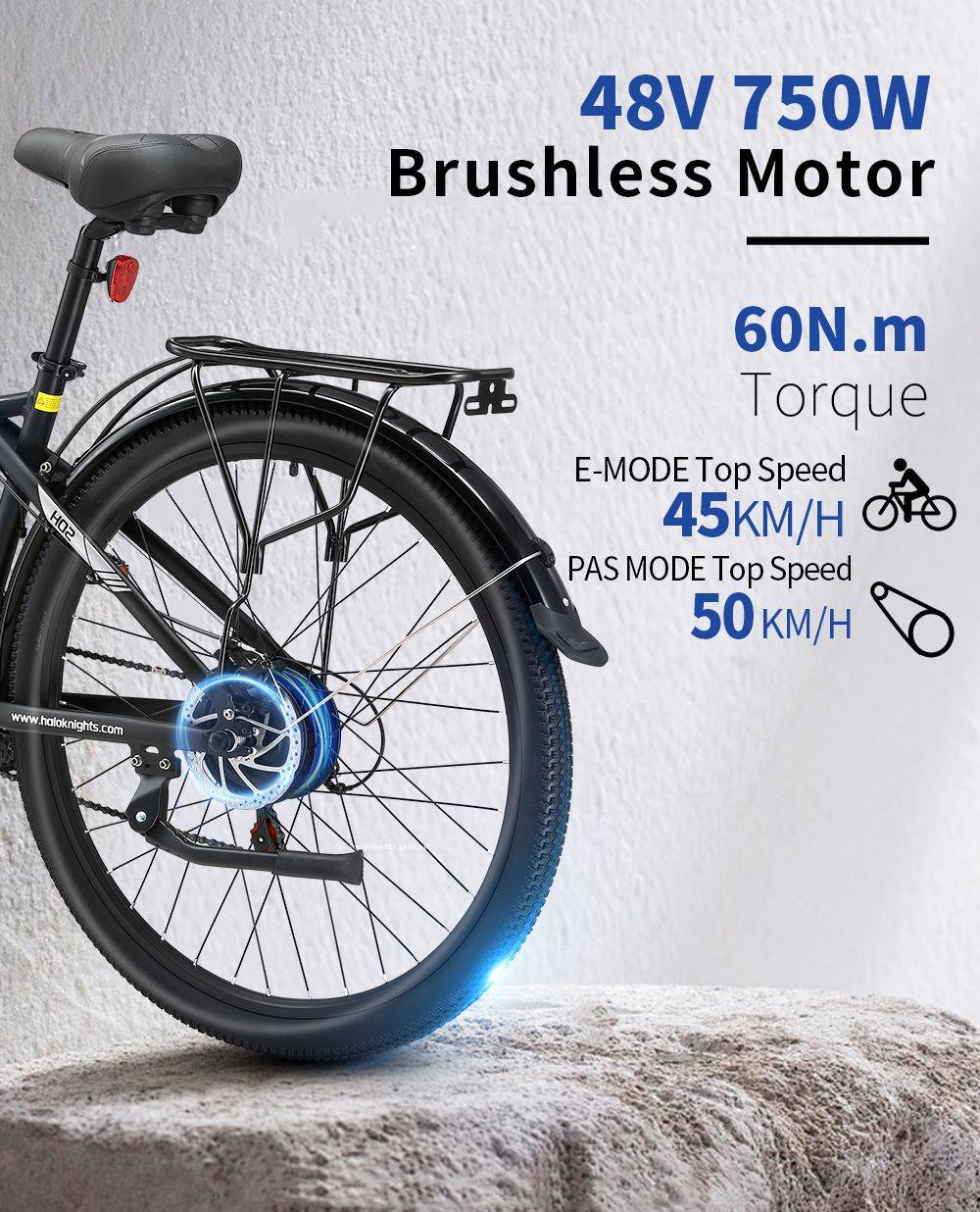 Halo Knight H02 Electric Bike, 750W Brushless Motor, 48V 16Ah Battery, 29*2.1-inch Tires, 50km/h Max Speed, 60km Max Range, Shimano 21 Speed, Mechanical Disc Brake - Black