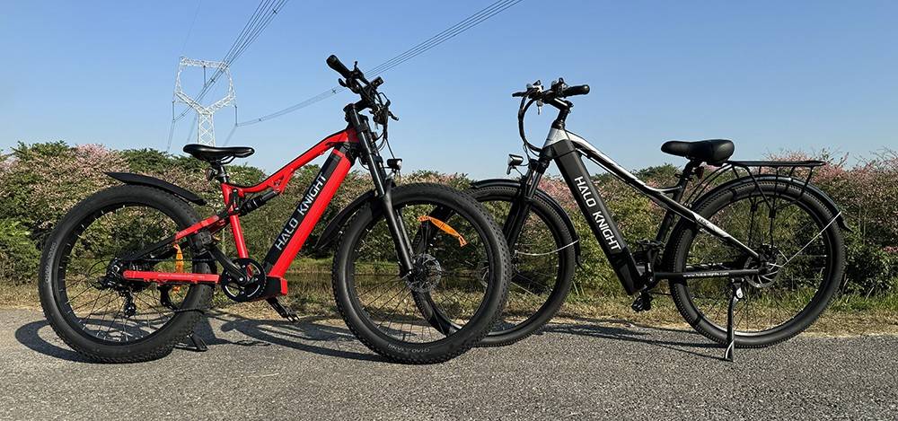 Halo Knight H02 Electric Bike, 750W Brushless Motor, 48V 16Ah Battery, 29*2.1-inch Tires, 50km/h Max Speed, 60km Max Range, Shimano 21 Speed, Mechanical Disc Brake - Black