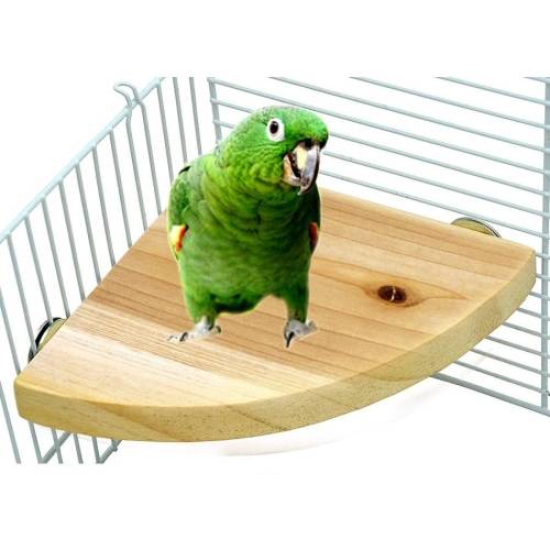 Parrot Log Fan-Shaped Platform Station Board Hamster Springboard Rest Platform