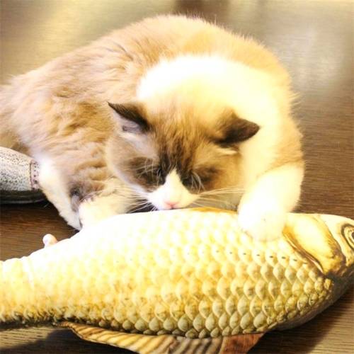 imulation Fish Toy Funny Cat Toy Fish Stuff Scratching Post Board Toy