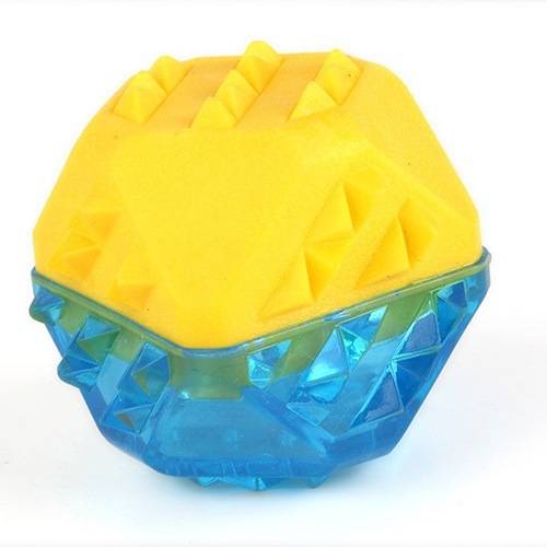 2pcs Frozen Bone Toys Pet Dog Teeth Grinding TPR Toys
