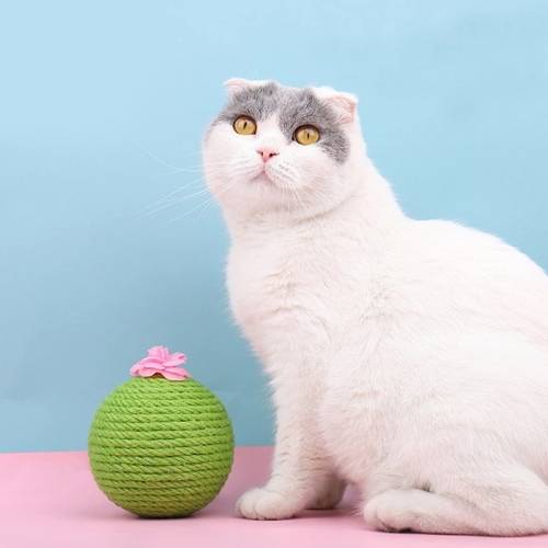 Sisal Cat Catching Ball Tumbler With Catnip Toy(Green)