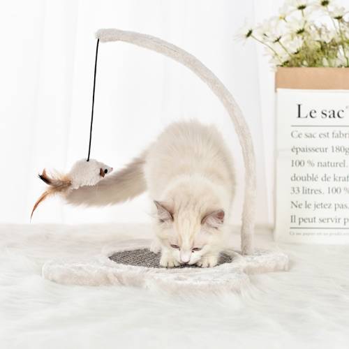 Cat Scratcher Toy Rubbing Device Solid Wood Furniture Pet Supplies