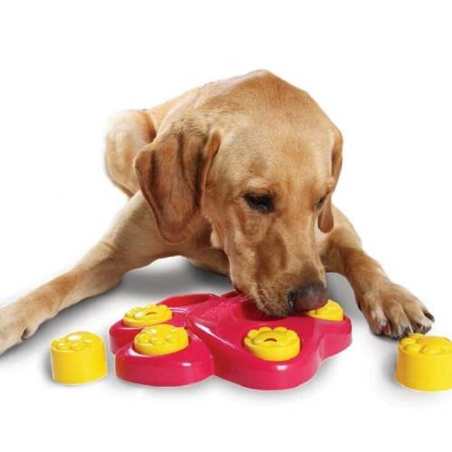 Pet Choke Slow Food Bowl Fun Treasure Hunting Pet Educational Toys(Red)