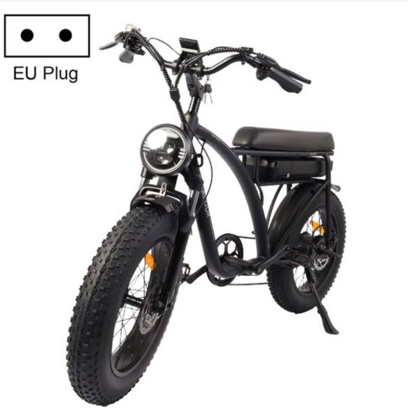 BEZIOR XF001 1000W 48V 12.5AH retro electric bicycle with LCD digital display &amp; 20-inch tires, European regulations (elegant black)