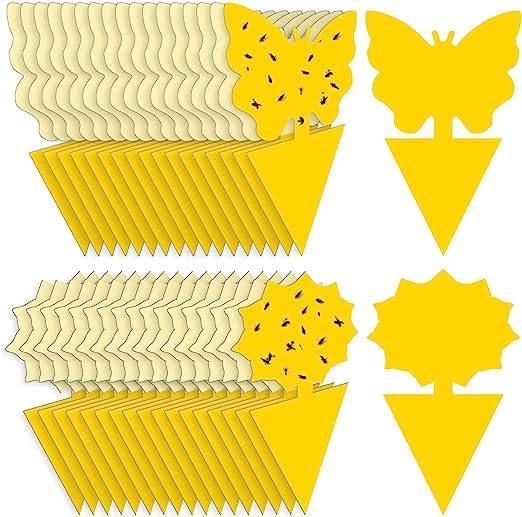 Fruit Fly Traps Fungus Gnat Traps Yellow Sticky Bug Traps 36 Pack Non-Toxic and Odorless for Indoor Outdoor Use Protect The Plant.