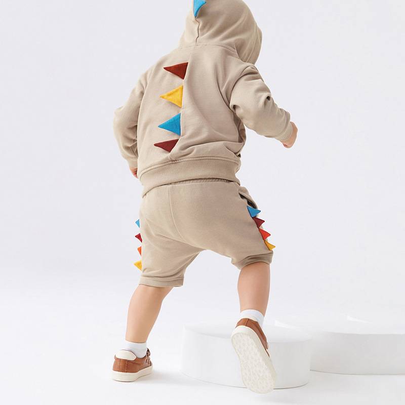 Boys&#039; sweatshirt set, autumn long sleeve hooded pullover, kids set, cotton two-piece