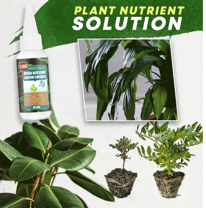Get 49% OFF the 2023 Hot Sale Plant Nutrient Solution with BUY 3 GET 2 FREE