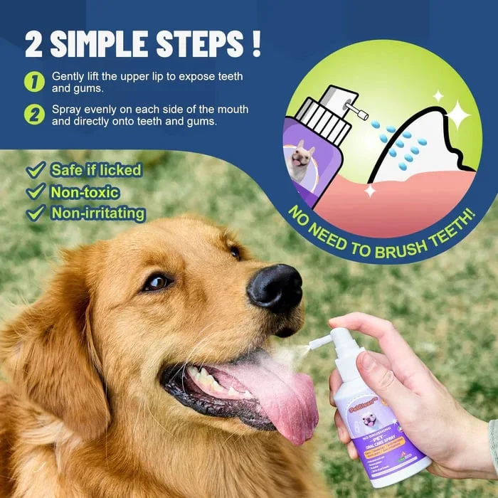 Teeth Cleaning Spray for Dogs &amp; Cats