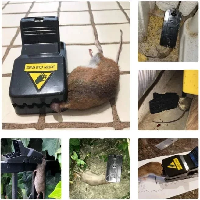 BIG SALE - HALF PRICE-3 Pcs Highly Sensitive Reusable Mouse Trap