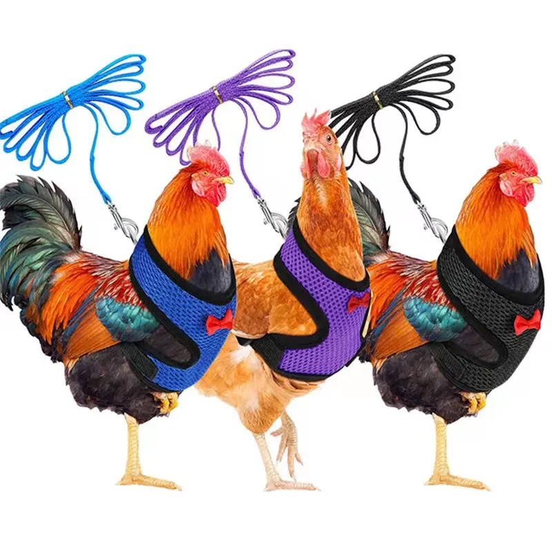 Selling chicken leashes pet dog collar and leash harness set dog training vest for handler