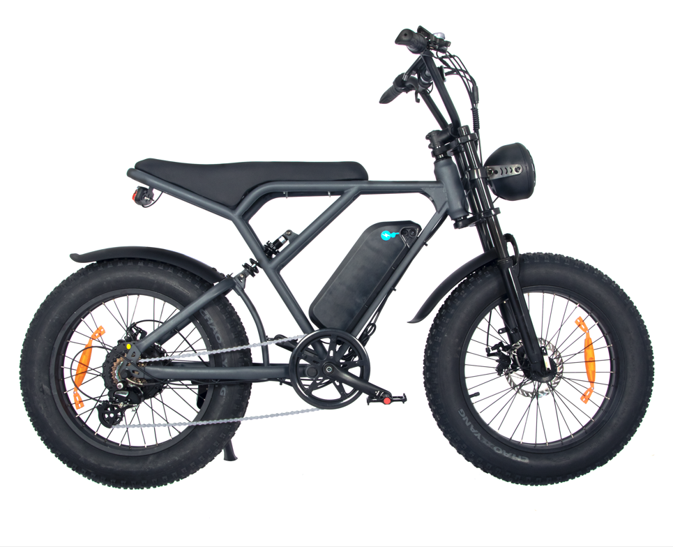 ONEsport S3 E-BIKE 7S SPEED FRONT FORK REAR DISC BRAKE