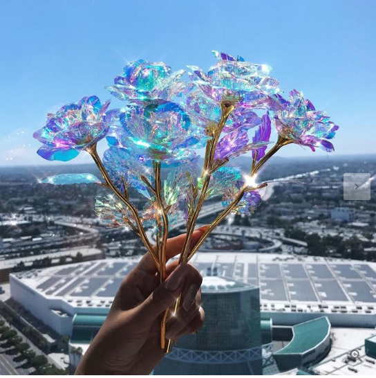 Galaxy Rose