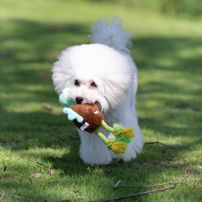Dog Teething Plush Toy Built-in Squeeze Audible Cotton Rope Feet Plush Play