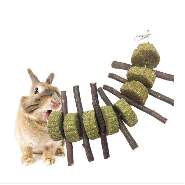 Rabbit hamster guinea pig grass cake apple branch molar skewer
