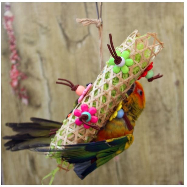 Creative parrot bird bamboo knitting chew drawing toy