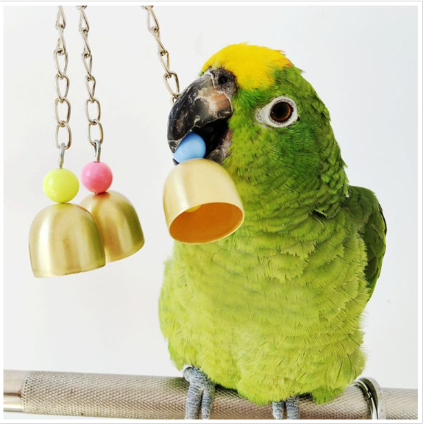 Creative pet supplies Parrot copper bell toys