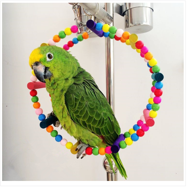 Parrot bird arch climbing swing play wheel ring toy