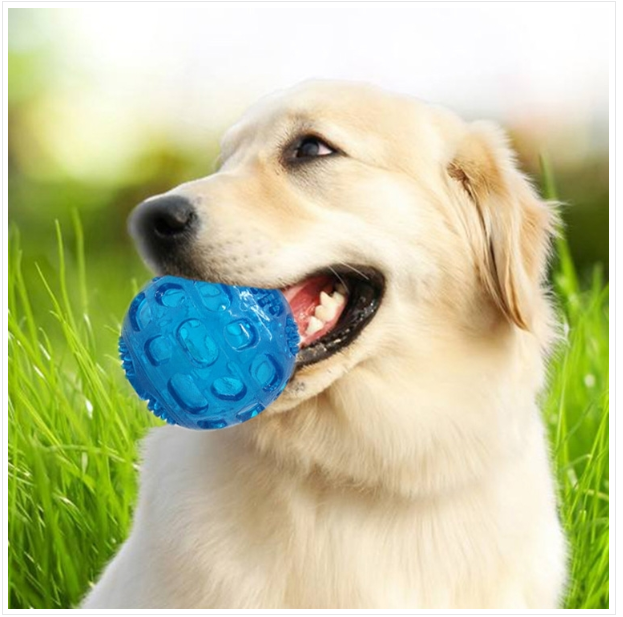 Big and small dog pet sound toy molar bite resistance elastic ball size :8*8cm color random delivery