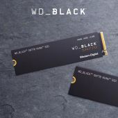 WD Western Digital Black Disk SN770 Wholesale SSD PCLE4.0 M.2 Interface NVME for Gaming PC