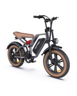 HAPPYRUN G60 750W 18AH electric bicycle with LCD digital display 20-inch tires, US standard