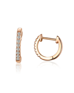 S925 Sterling Silver Circle Earrings Zircon Earrings,