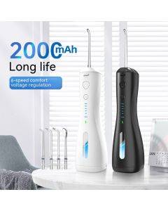 Portable dental cleaner