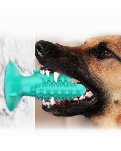 Rubber Molar Stick Toothbrush for Dogs