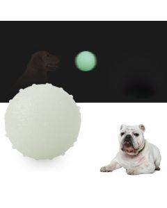 TPR Bite Resistant Luminous Bouncy Ball Pet Toys