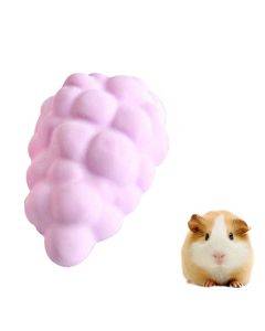 Pet Fruit Type Calcium Stone Hamsters Rabbits Small Pets Teeth Grinding Stones Pets Training Tools(Purple)