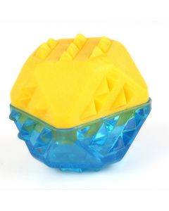 2pcs Frozen Bone Toys Pet Dog Teeth Grinding TPR Toys