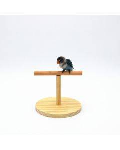 Creative Wooden Parrot Bird Frosted Stand Toy