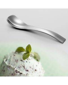 Stainless Steel Polished Handle Ice Cream Small Spoon Tea Spoon