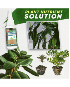 Get 49% OFF the 2023 Hot Sale Plant Nutrient Solution with BUY 3 GET 2 FREE