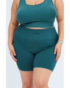 Blue Bike Shorts Seamless Activewear