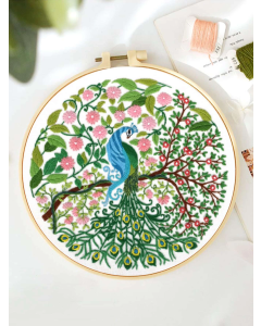 1pc Hand Embroidery Kit: Modern Peacock Pattern for Home.