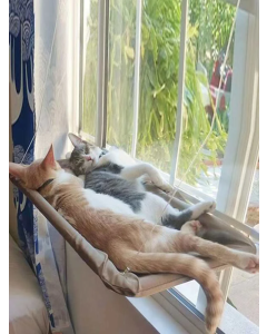 1pc Suction Cup Design Pet Window Perch For Dog And Cat For Sleeping