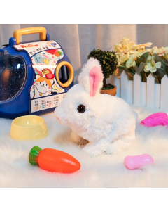 Bunny Toys Educational Interactive Toys Bunnies Can Walk and Talk