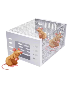 Automatic Continuous Cycle Mouse Trap