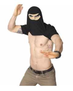 NINJA DISGUISE T-SHIRT