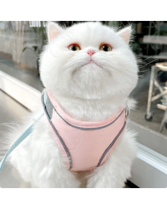 Luminous Cat Vest Harness and Leash Set