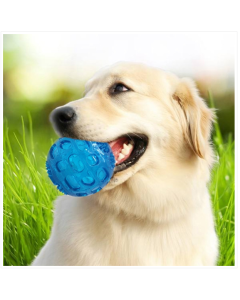Big and small dog pet sound toy molar bite resistance elastic ball size :8*8cm color random delivery