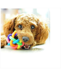 New Pet toy bell ball