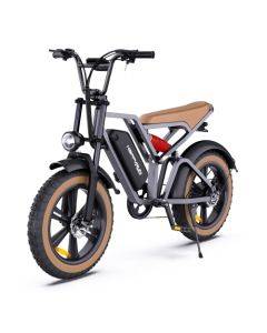 HAPPYRUN G60 750W 18AH electric bicycle with LCD digital display 20-inch tires, European regulations- black