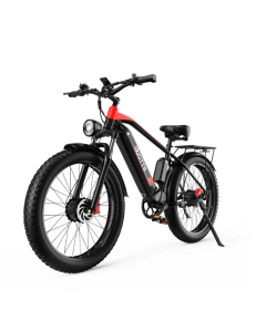 DUOTTS F26 Electric Bike