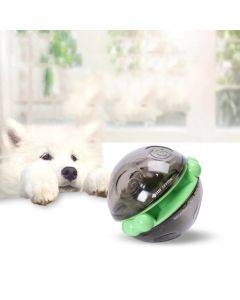 Pet PC Plastic Cat Dog Puzzle Non-Tumbler Leakage Ball Toys