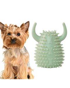 Pet teeth grinding dog chewing toy fish bone fun leakage toy TPR pet toy