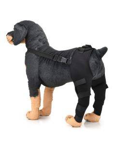 Pet leg and knee protectors for surgical injuries in dogs