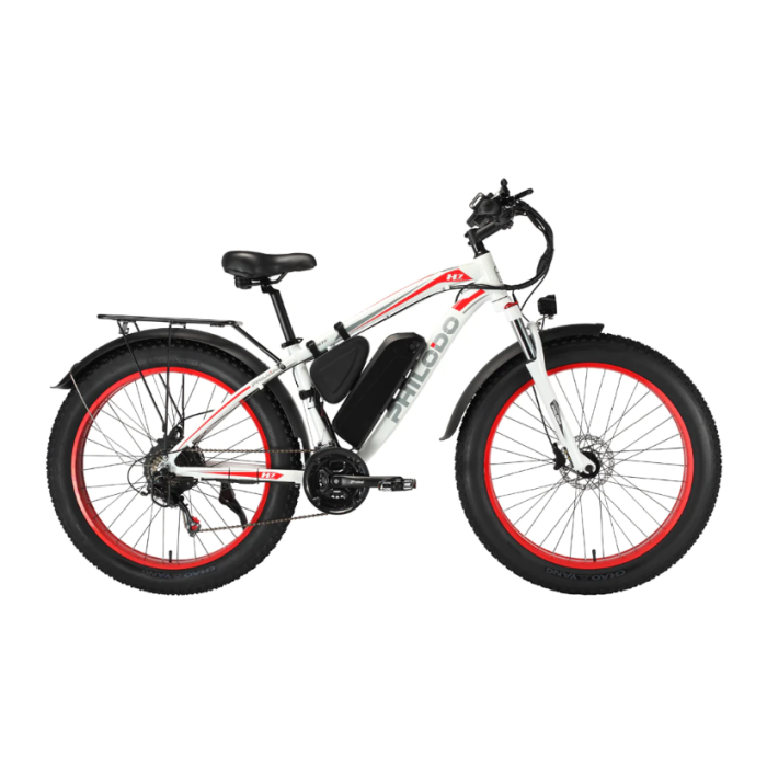All terrain electric fat bike 2025