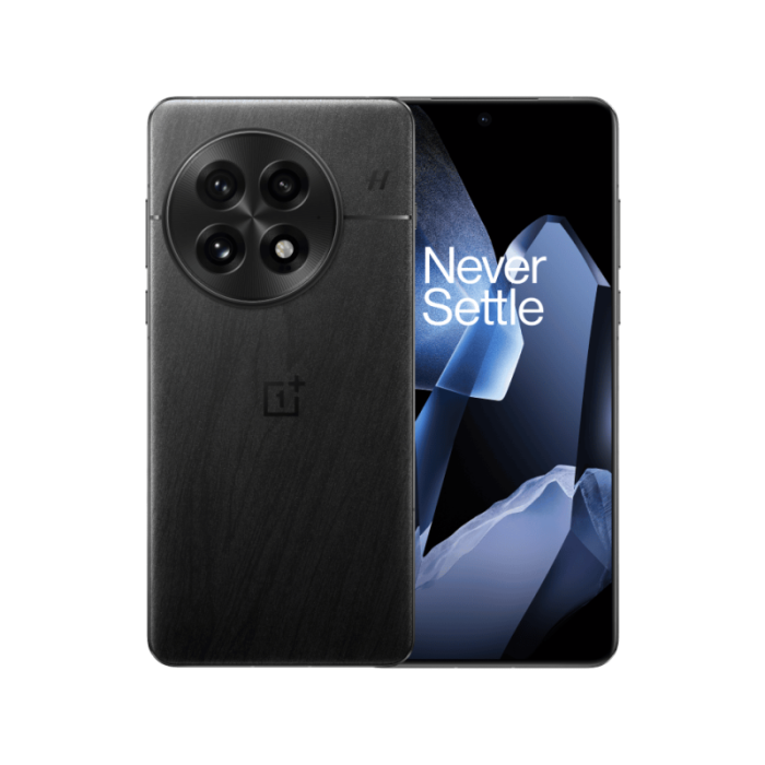 OnePlus 13 16+512GB EU White